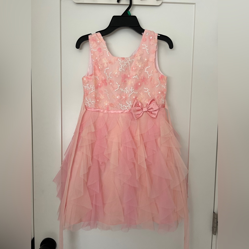 Joan Michelle Girls Pink Tulle Lace Floral Embroidered Party Dresses - Picture 8 of 10